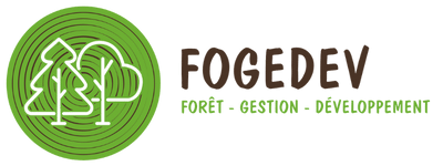 Fogedev